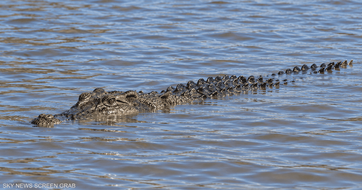 2032 Olympics: Crocodiles at the Stadium
