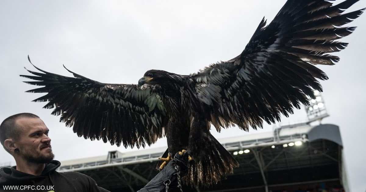 Crystal Palace faces unexpected crisis