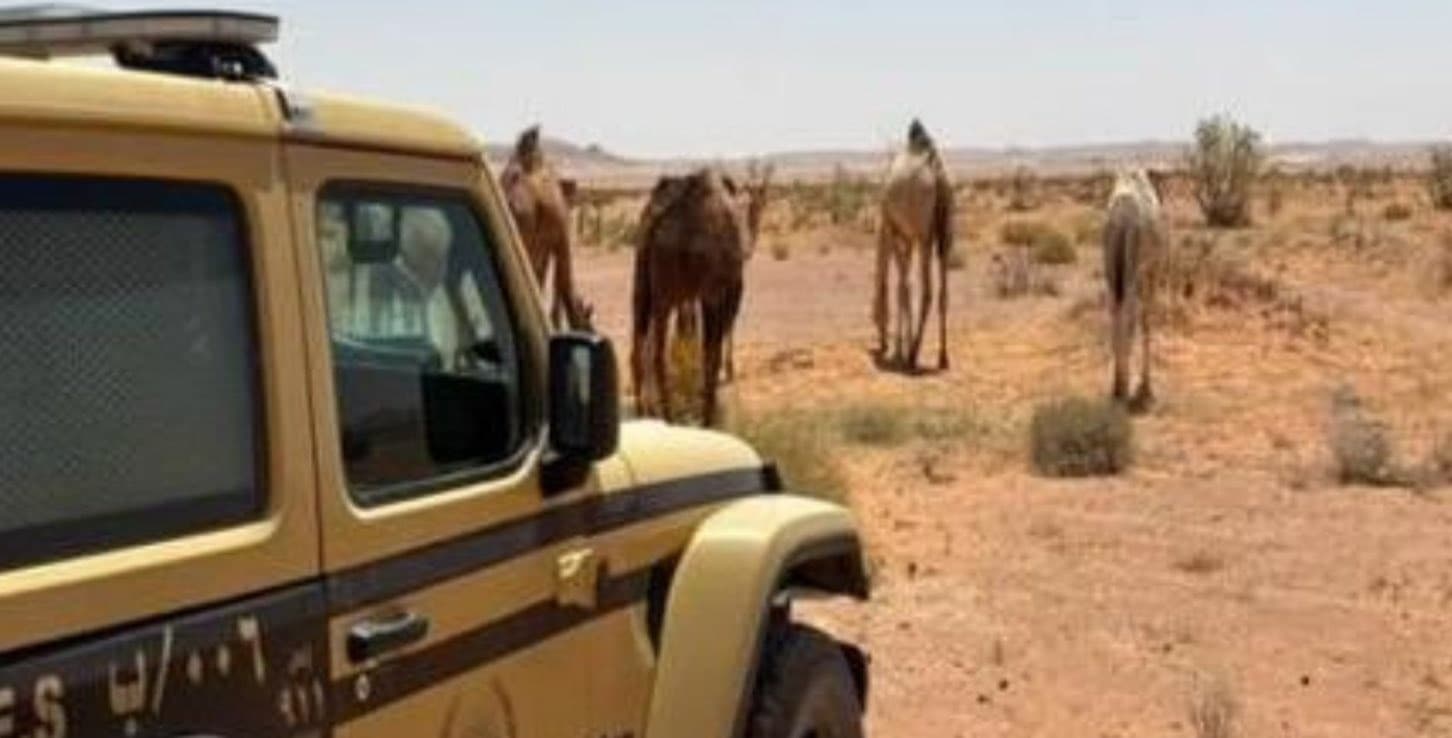 Environmental security detains illegal grazing and fires in private protected areas