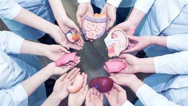 قانون زراعة الأعضاء وشروط التبرع