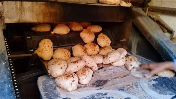 مخابز تناقش دعم الخبز مع الوزير