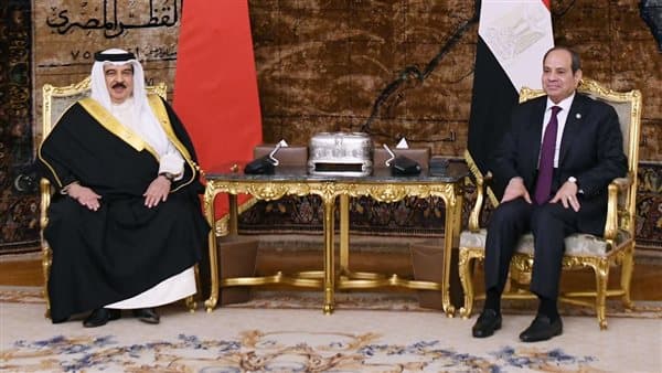 Egypt and Bahrain call for Gaza ceasefire adherence