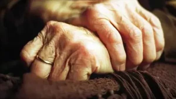 Elderly woman killer's criminal record revealed in Shbeen Elkom