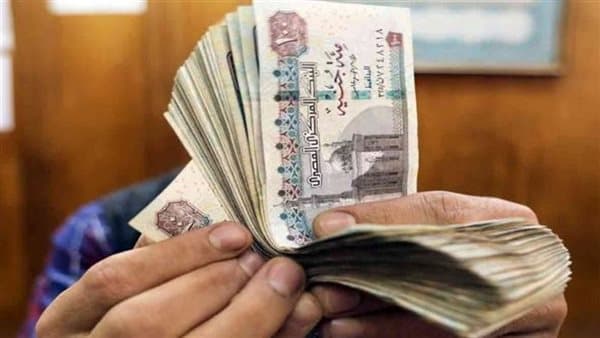 Insurance and Pensions Law: Pension Redistribution Cases