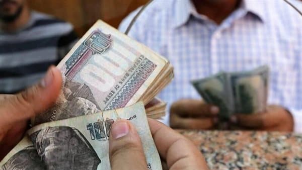 نظر دعوى تقنين رعاية المعاشات الأحد