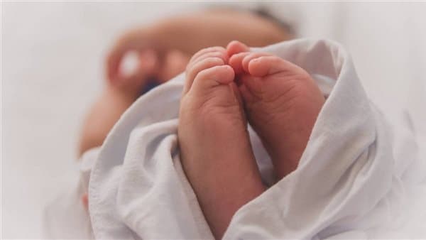Investigation Continues into Baby's Body Found in Park