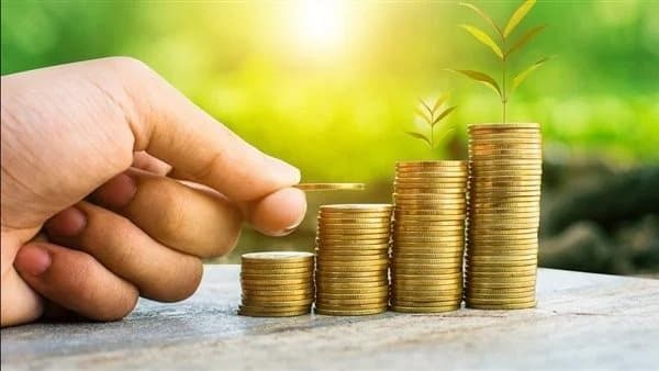 هل تتحمل الزوجة ذنب عدم إخراج الزكاة