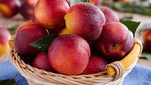 Dreaming of eating peaches and life's challenges