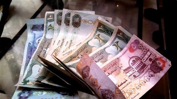 UAE dirham steadies against Egyptian pound at central bank