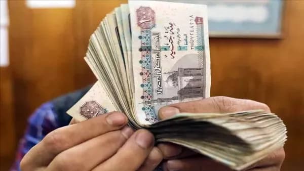 Finance Minister Announce Salary Disbursement for July 2026