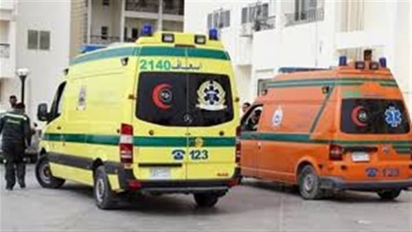 Debt leads to chicken trader's suicide in Minya
