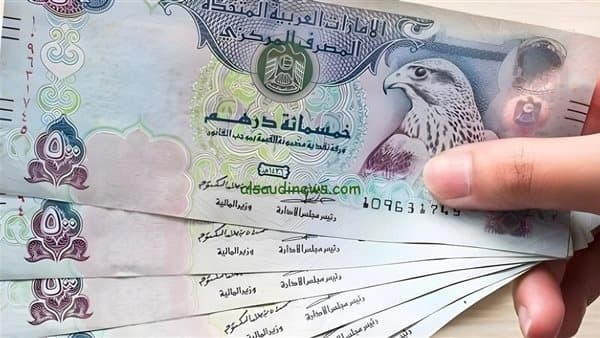 انخفاض سعر الدرهم الإماراتي مقابل الجنيه