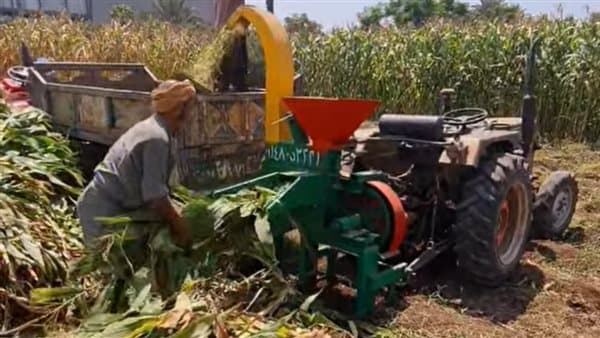Young man loses arm on corn slicer
