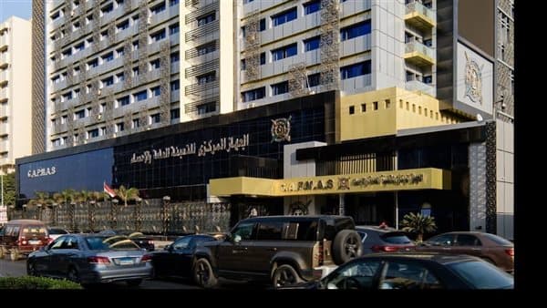 Egyptian Work Permits Reach 1.18M in 2025