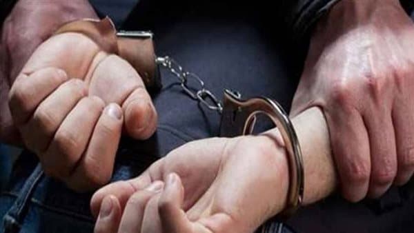 Truck driver involved in Beheira crash detained