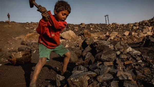Ismailia Incident Reignites Child Labor Concerns