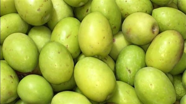 أسعار الزيتون الأخضر في الأسواق