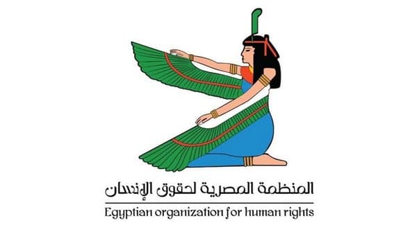 Egyptian Human Rights Group: Democracy Key to Rule of Law