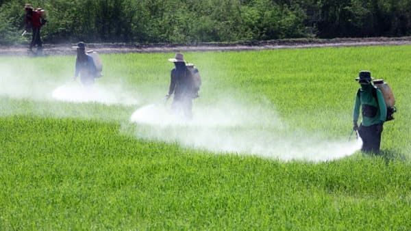 Agriculture: 12,000 Pesticide Permits Issued in Six Months