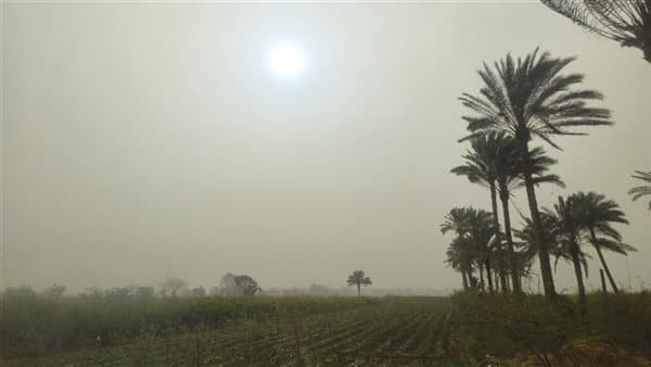Meteorology warns of wind and storms tomorrow