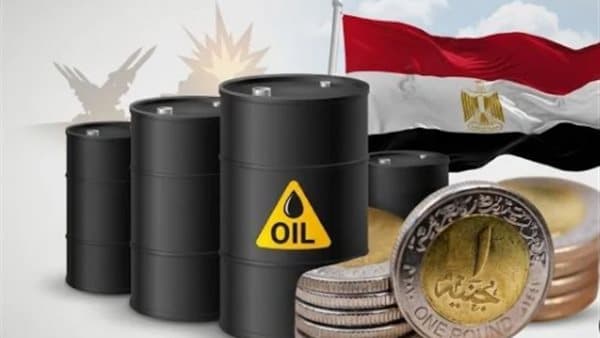 Egyptian economy and the regional conflict toll