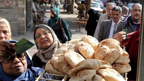 مصر تتجاوز متوسط استهلاك القمح العالمي