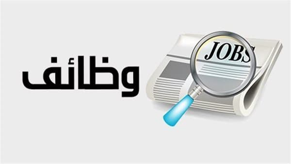 أفضل كليات لضمان وظيفة في مصر