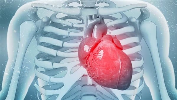 Key vitamins for heart health
