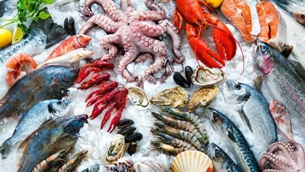 Nutrition Institute highlights fatty fish benefits