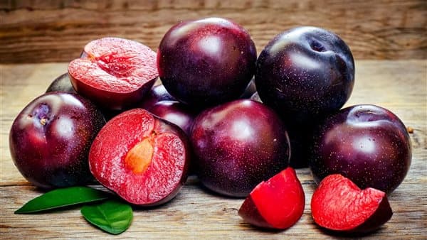 تفسير حلم أكل البرقوق وفرص المكافأة