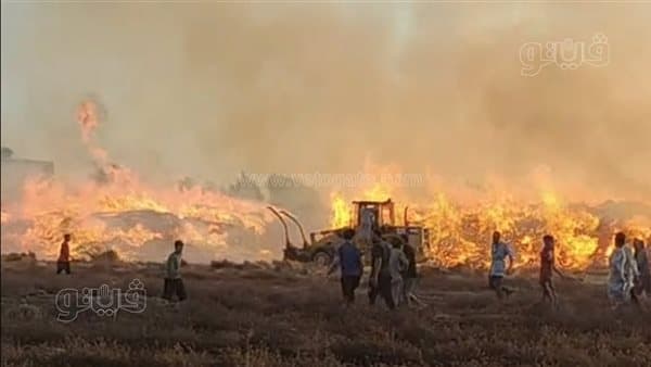 Massive fire destroys cotton warehouse holding crop from 10 acres in al-Gharbia (Photos)