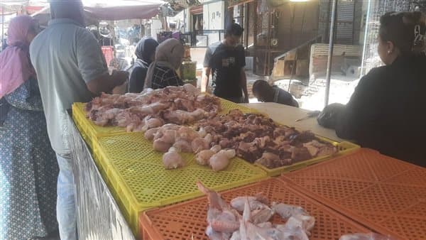 ضبط 200 كيلو دواجن محقونة لزيادة الوزن في شبرا