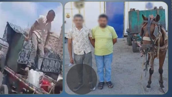 Two unemployed fall while stealing trash bin in Alexandria