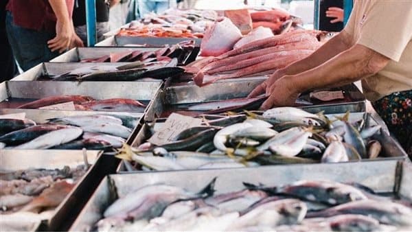 أسعار السمك اليوم بين ارتفاع وانخفاض