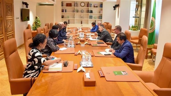 نبيل فهمي يلتقي برئيس لجنة حقوق الفلسطينيين