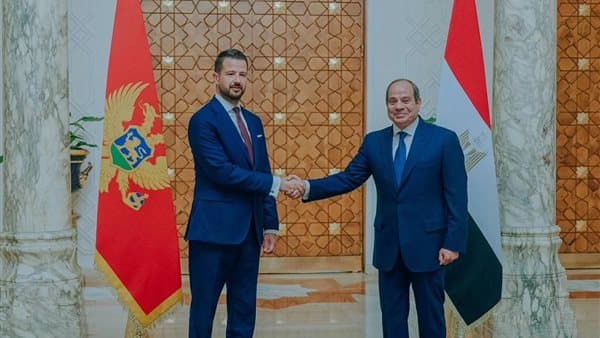 Sisi and Montenegro President Hold Talks