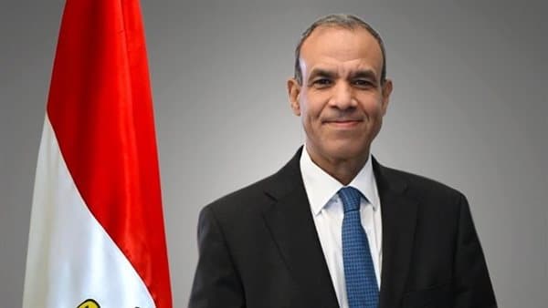 وزير الخارجية يؤكد حق مصر في البقاء