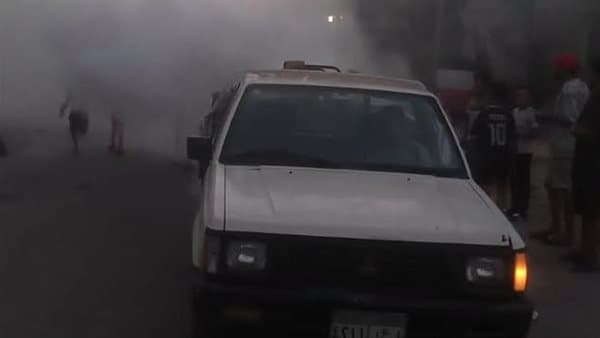 Pest Control Spreads in Port Said
