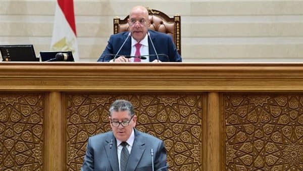 وكيل دفاع النواب يوضح مشروع قانون جامعة كيان