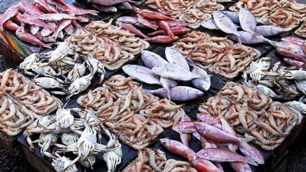 Fish prices on August 9 2026: priciest and cheapest types