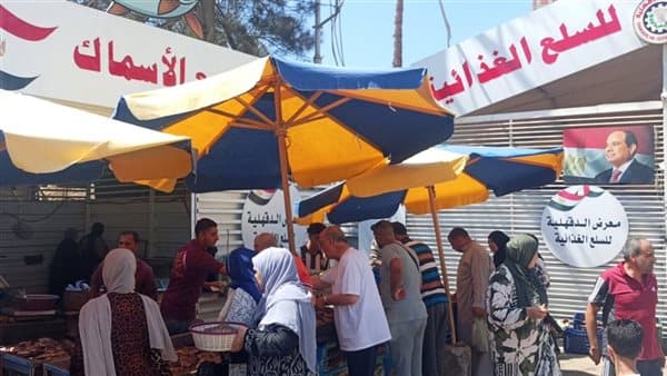 محافظ الدقهلية يراقب معارض السلع يومياً
