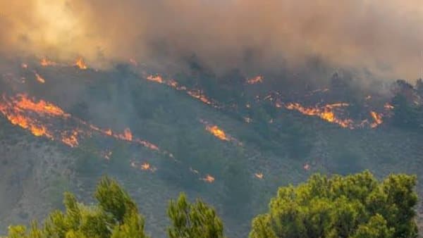 Prophetic prayers for fire protection in Tunisia and Algeria