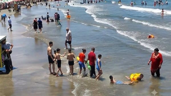 Egypt News Today: 2026 High School Coordination and College Options