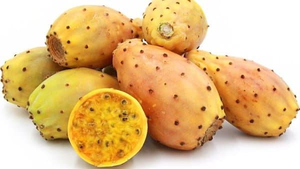 Therapeutic Nutritionist: Prickly pear benefits hydration heart digestion