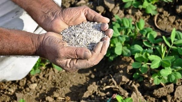 Nitrate decrease and fertilizer prices today