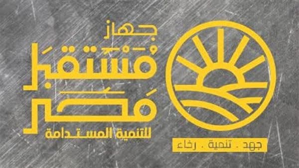 Future Egypt Development Goals After Board Formation