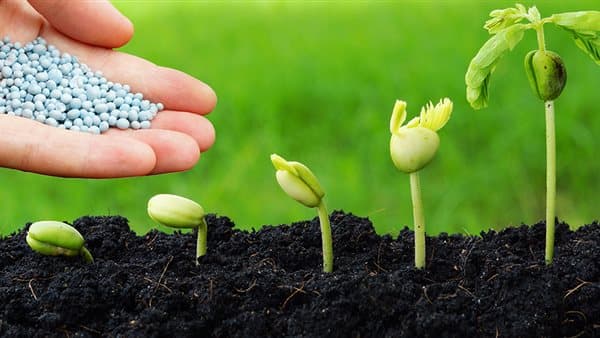 أسعار الأسمدة اليوم منخفضة النترات