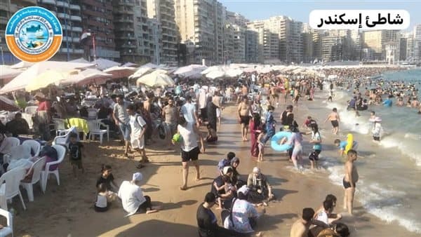 Alexandria beaches at full capacity amid swimming warnings