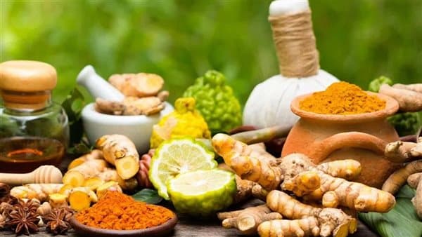 Ginger and turmeric tackle H. pylori