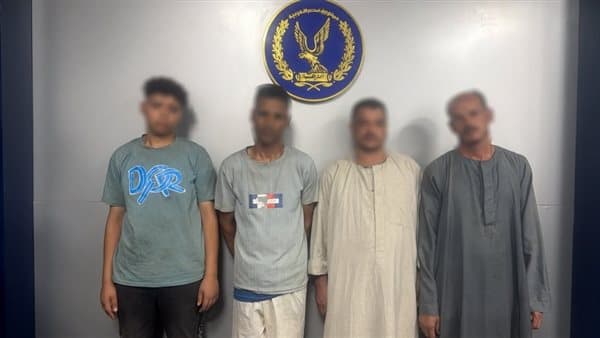 Nine donkeys slaughtered near Sohag water